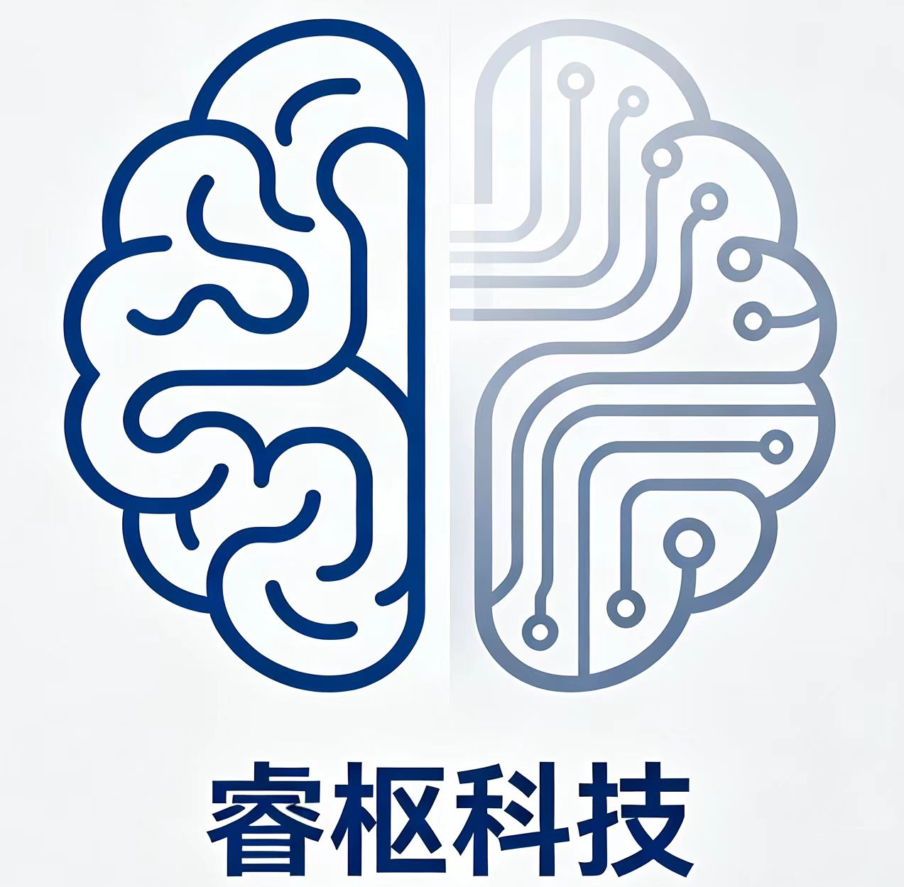 睿枢智库Logo